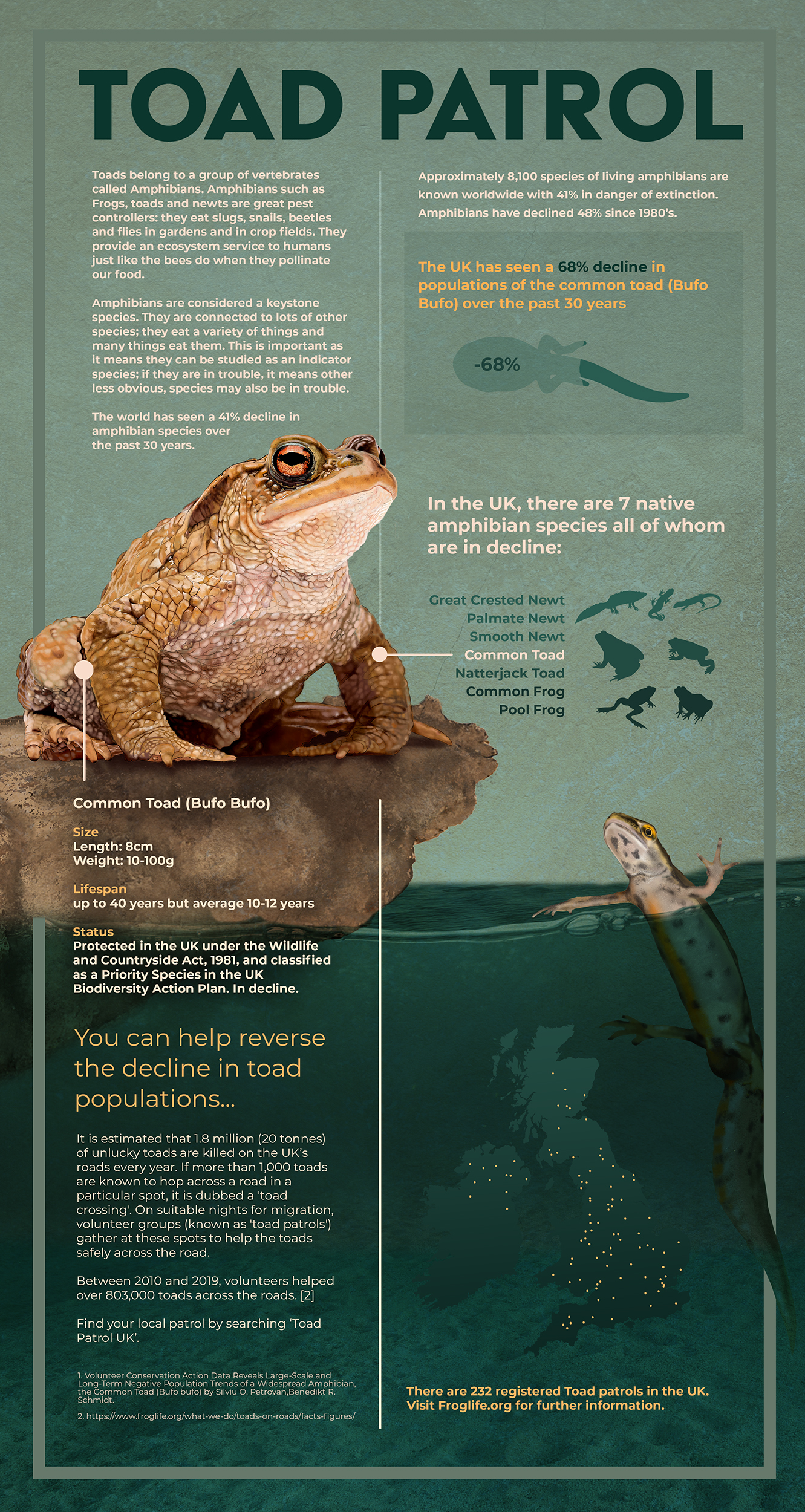 NatGeo finished infographic