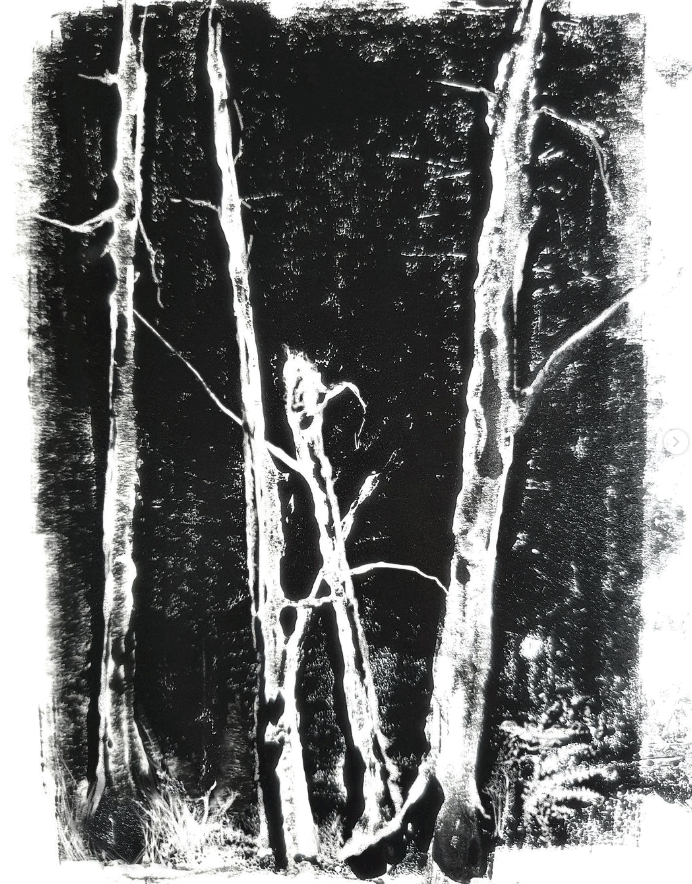 Gelli plate  experiments